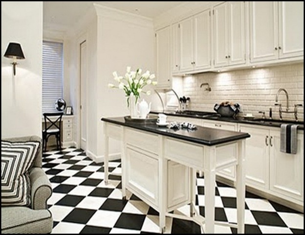 White Kitchen With Glossy Black Floors Transitional Kitchen